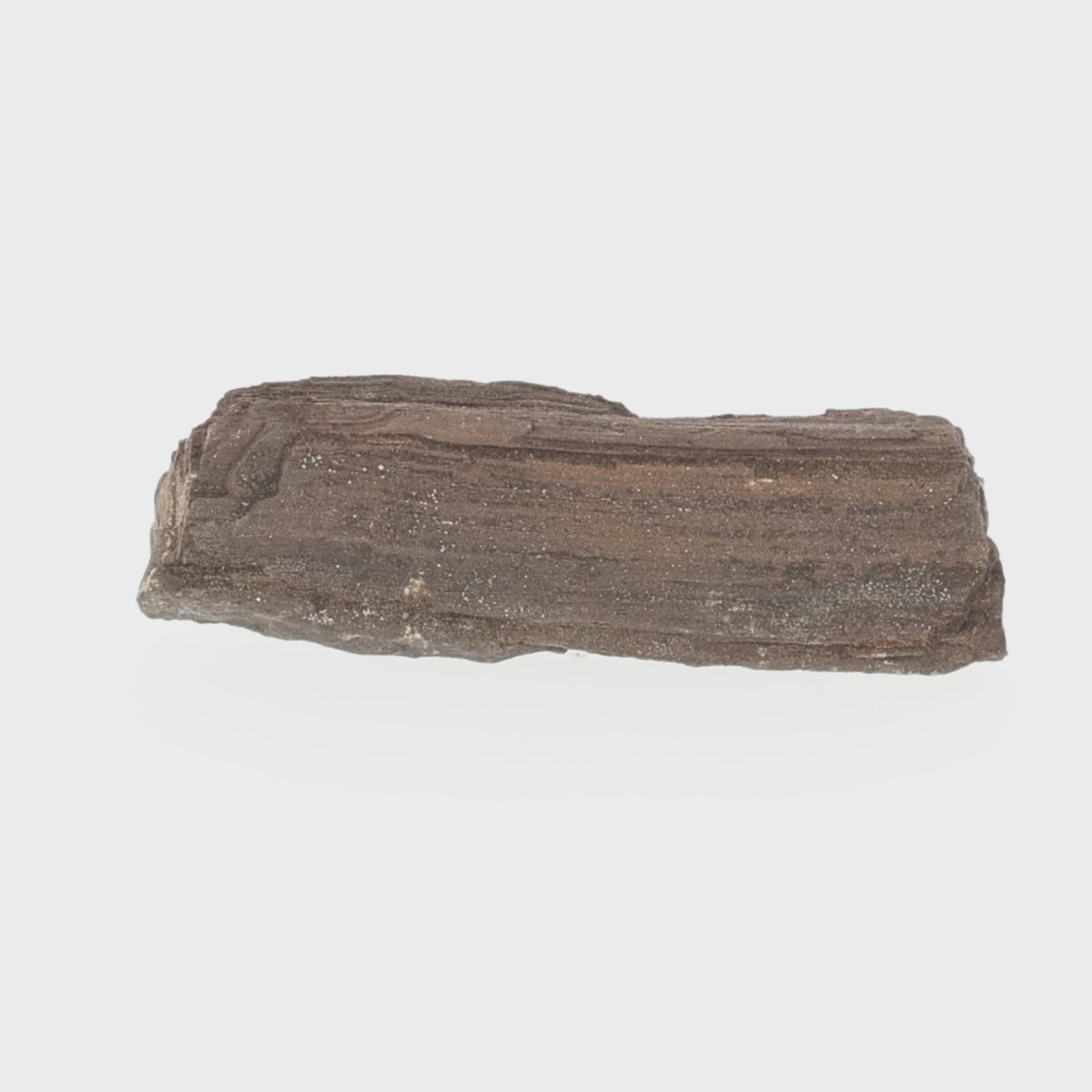 Load video: Feenholz mit natürlicher Kristallbildung | Versteinertes Holz aus Zwenkau | 268 g (#1537)