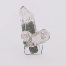 GREEN TEMPLE | Quarz mit Chlorit aus dem Himalaya | 1.030 g | 20 cm hoch | Unikat  (#1005)
