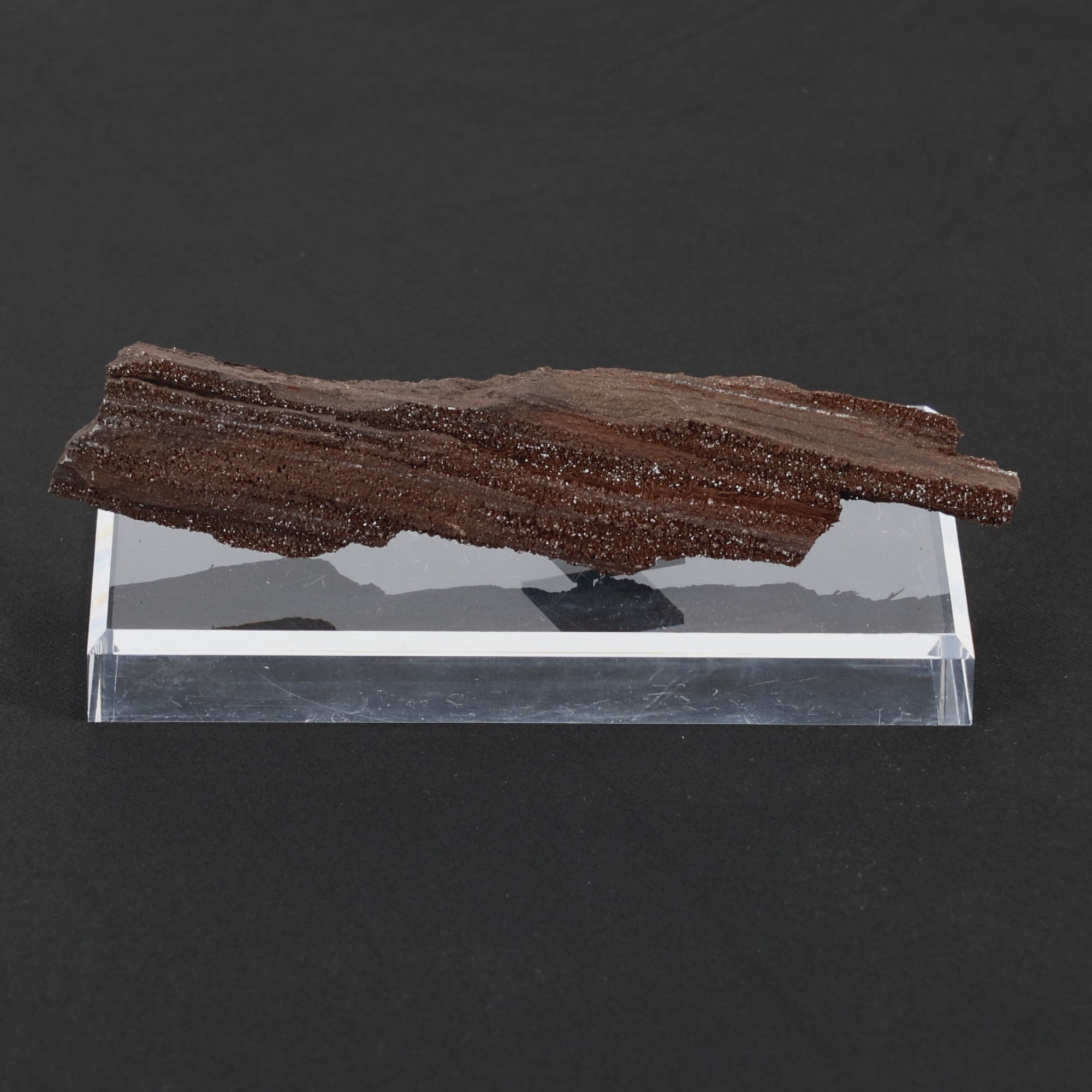 Load video: Feenholz mit natürlicher Kristallbildung | Versteinertes Holz aus Zwenkau | 155g (#590)
