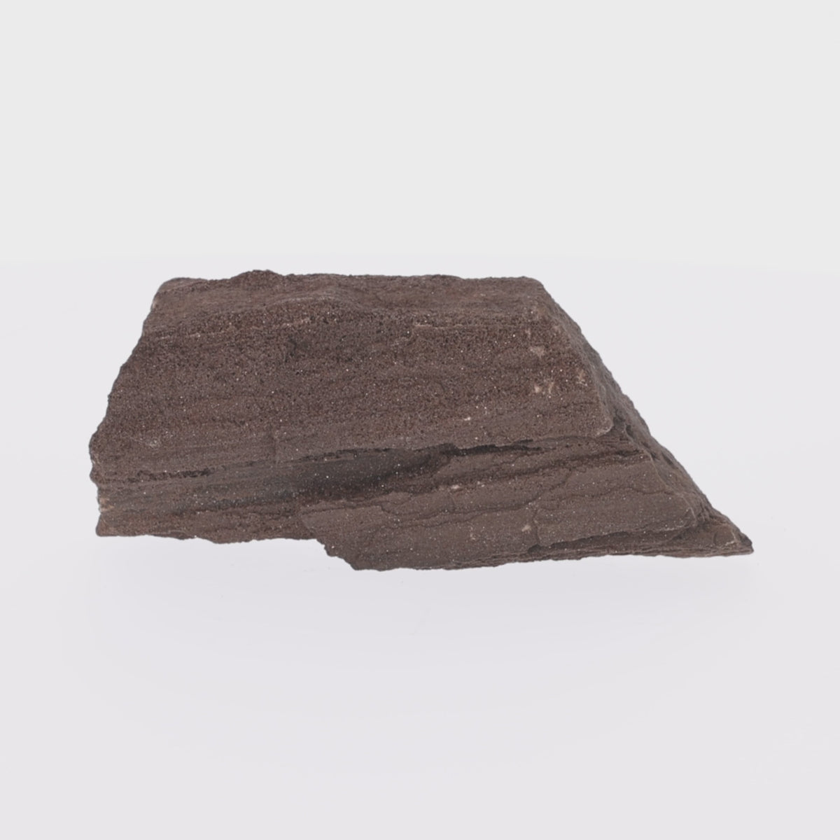 Load video: Feenholz mit natürlicher Kristallbildung | Versteinertes Holz aus Zwenkau | 825 g (#1470)