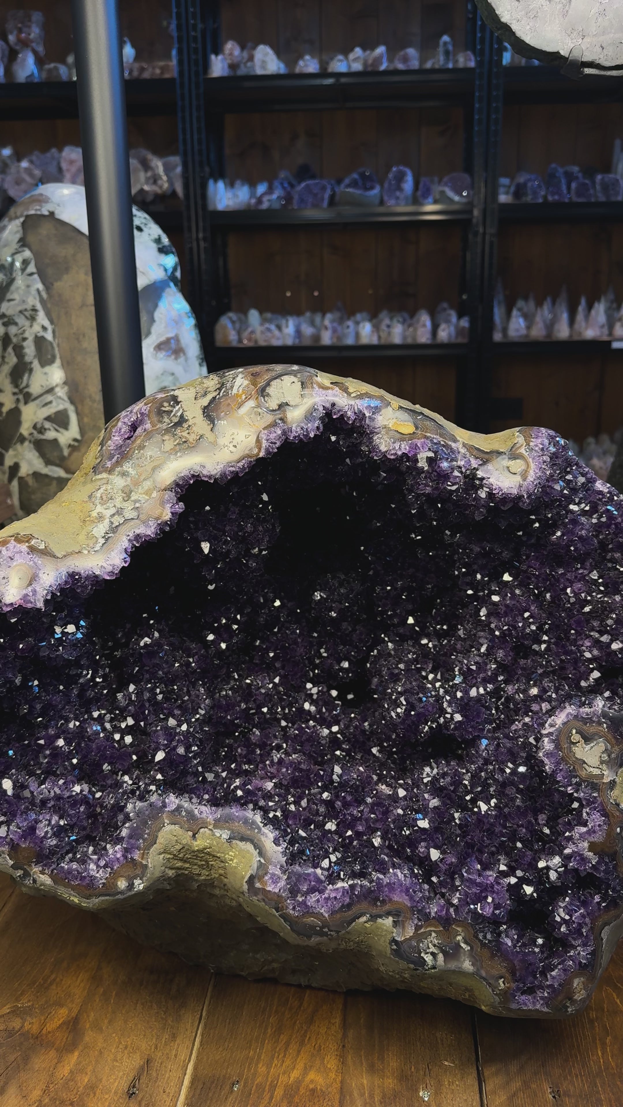 Load video: Amethyst Geode 100,2 kg aus Uruguay mit tiefvioletter Kristallhöhle und natürlicher, offener Form