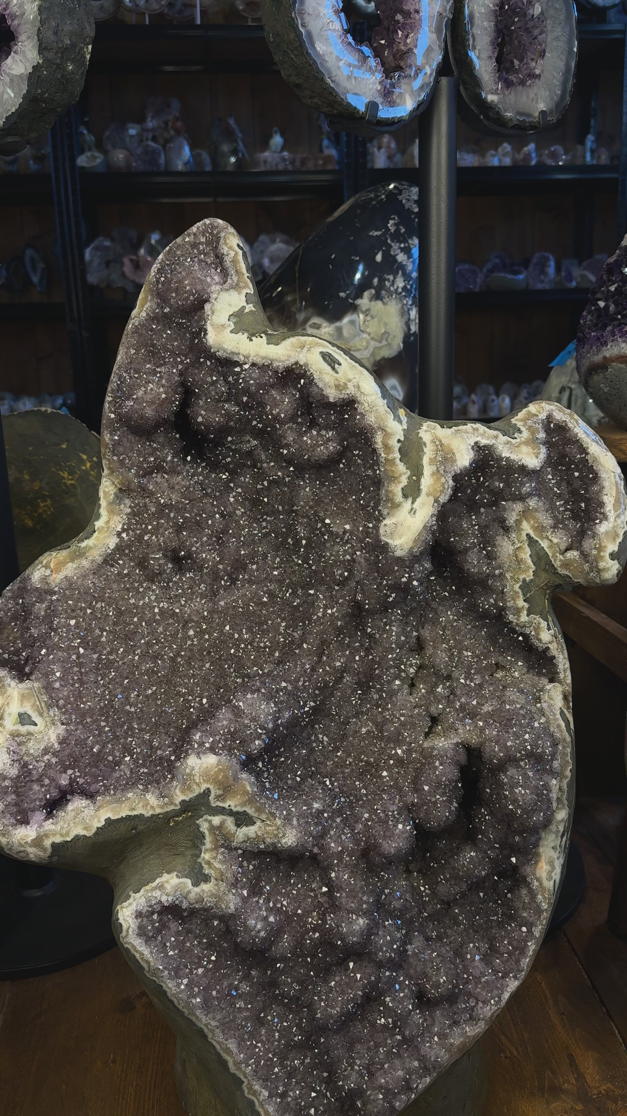 Load video: Amethyst Geode Uruguay 80,4 kg helle Kristalle offene Struktur natürliche Form Unikat

