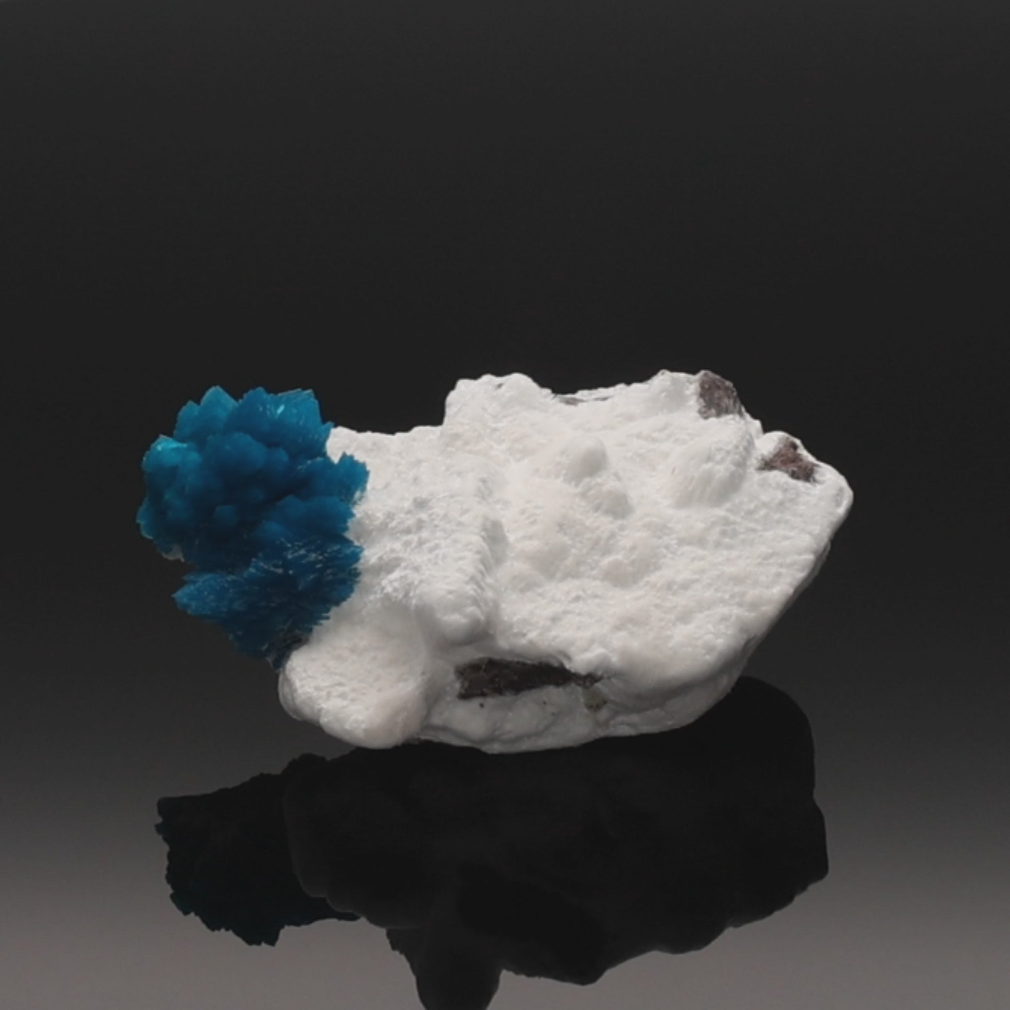 Load video: BLUE CORAL | Cavansit auf heller Matrix | 69 g | Unikat (#1028)