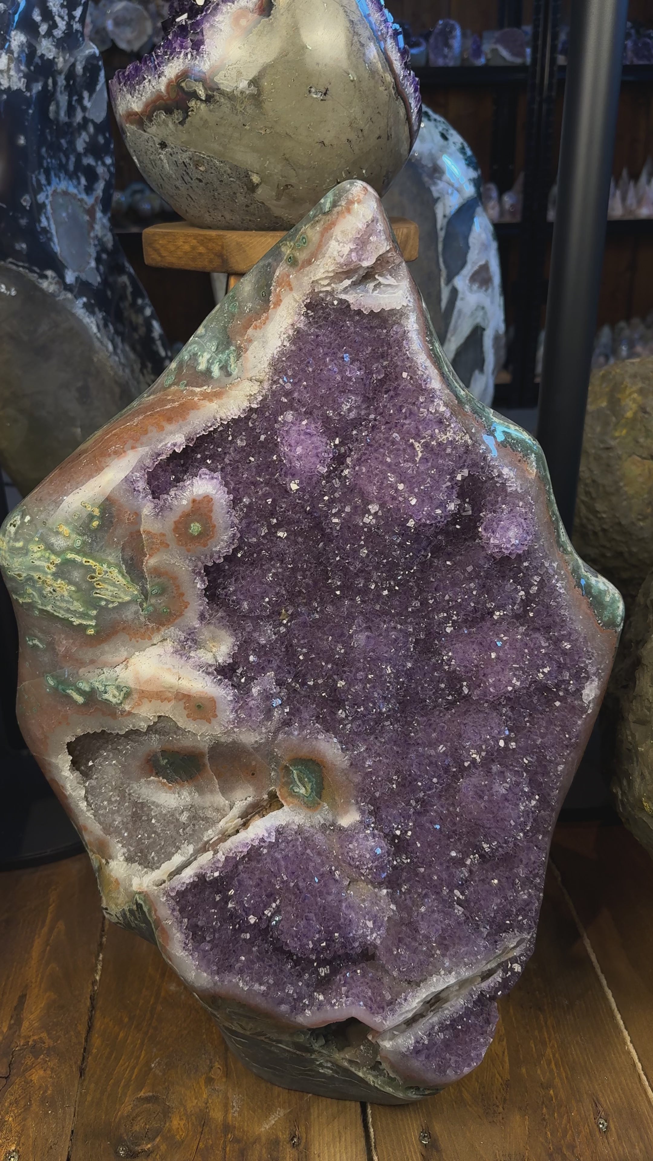 Video laden: Amethyst Geode Uruguay 48,4 kg violette Kristalle natürliche Form polierte Außenkante Unikat