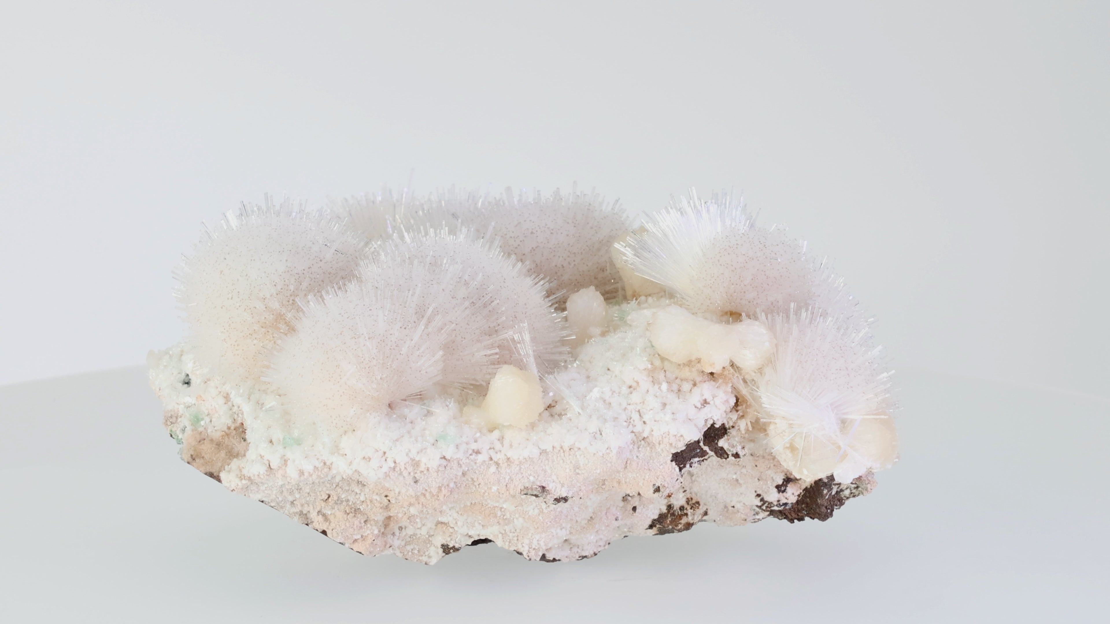 Video laden: Crystal Bloom - Collector Mineral aus Mumbai