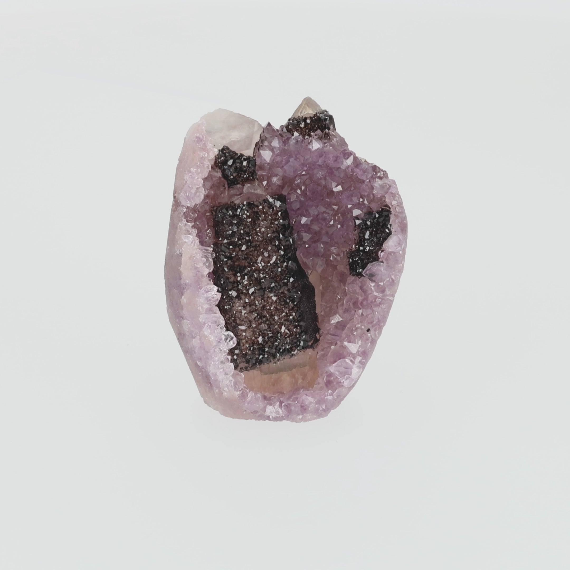 Video laden: Obsidian Bloom - 0,483 kg Amethyst mit schwarzem Turmalin &amp; Calcit - Uruguay Unikat (#543)