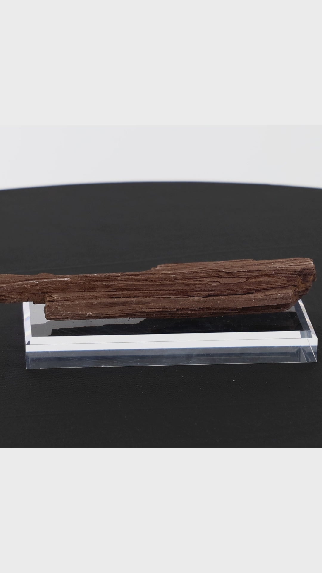 Video laden: Feenholz mit natürlicher Kristallbildung | Versteinertes Holz aus Zwenkau | 370g
