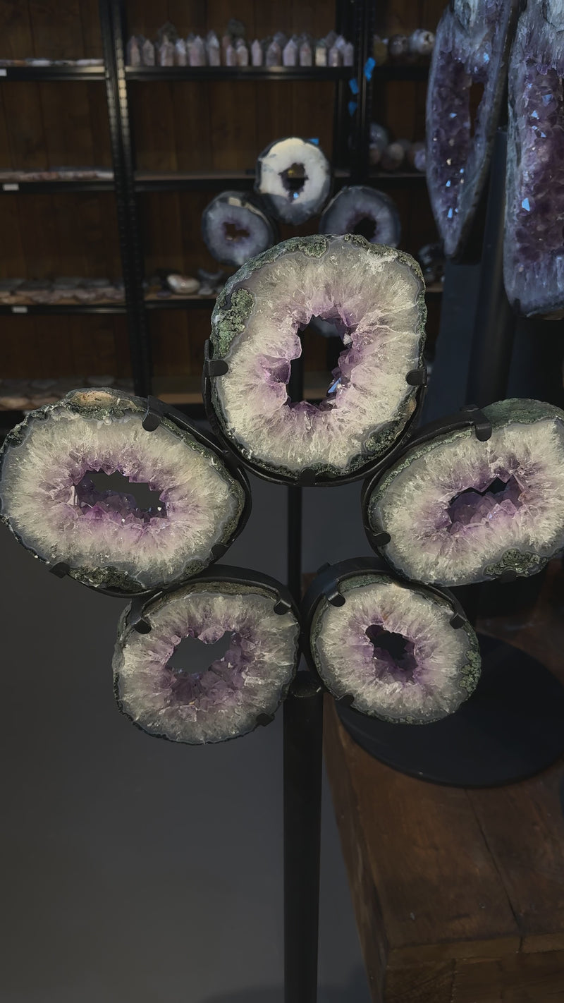 Amethyst Portal Scheiben in Blumenform auf Stahlständer dekorativ angeordnet