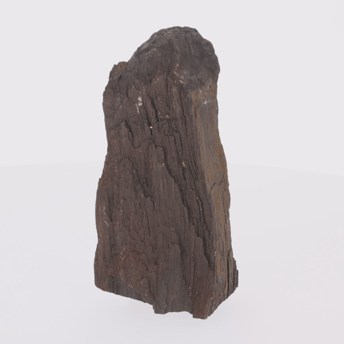 Video laden: Feenholz mit natürlicher Kristallbildung | Versteinertes Holz aus Zwenkau | 1750g (#1419)